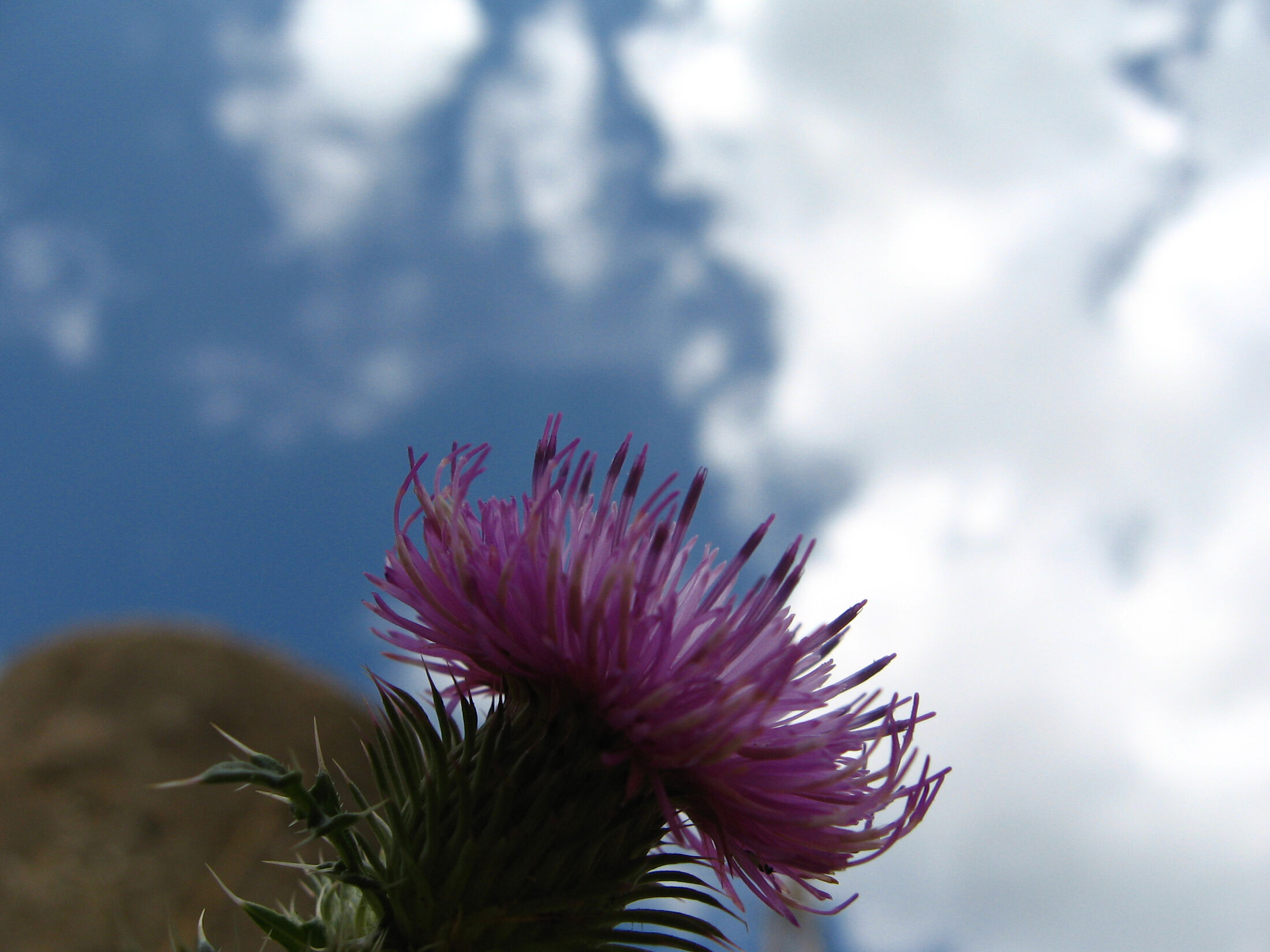 Nature of Stara Planina