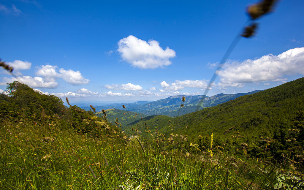 Private accommodation on Stara Planina